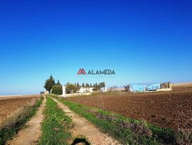 Campo en Chiclana de la Frontera