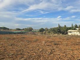 Campo en Chiclana de la Frontera