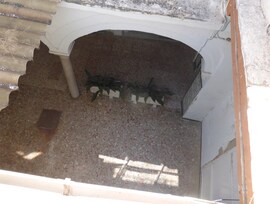 Casa en Sanlucar de Barrameda