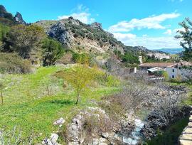 Parcela urbana en Grazalema