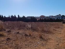 Campo en Sanlucar de Barrameda