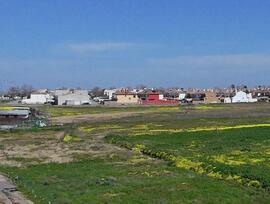 Campo en Sanlucar de Barrameda
