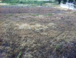 Parcela urbana en Corullon