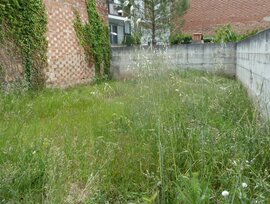 Local comercial en Carme