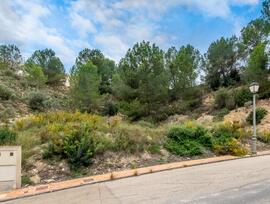 Parcela urbana edificable en La Alcayna