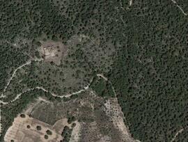 Campo en Ricote