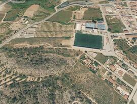 Campo en Vilamarxant