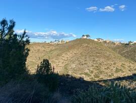 Parcela en Torrent