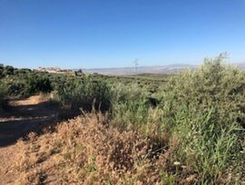 Casa de campo en Guevejar