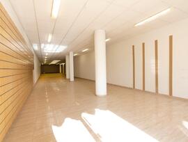 Unidad comercial en Otura