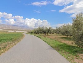 Parcela en Fiñana