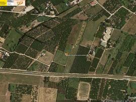 Campo en Oliva