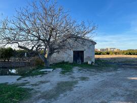 Campo en Piles