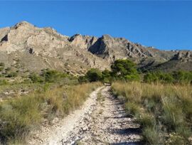 Parcela urbana edificable en Abanilla