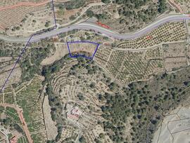 Campo en Chilches - Xilxes