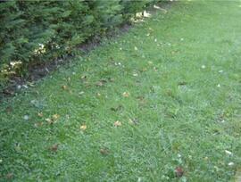 Parcela urbana en Valle de Mena