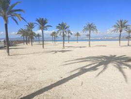 Unidad comercial en Llucmajor