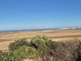Campo en Vejer de la Frontera