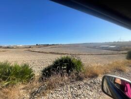 Campo en Chiclana de la Frontera