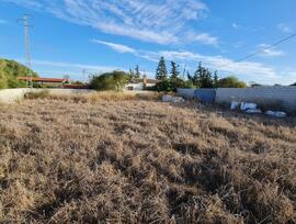 Campo en Chiclana de la Frontera