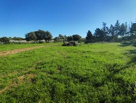 Campo en Chiclana de la Frontera