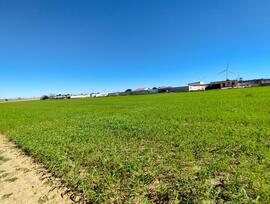 Campo en Puerto Real