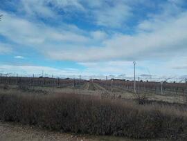 Campo en Codorniz