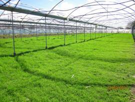 Casa de campo en Chipiona