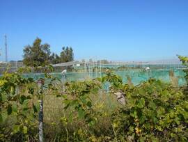 Casa de campo en Chipiona