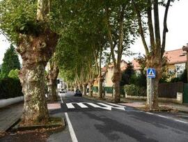 Parcela urbana en Cambre