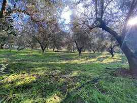 Casa de campo en Córdoba