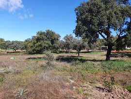 Parcela urbana en Badajoz