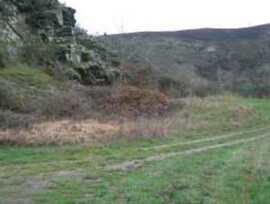 Campo en Vega de Espinareda