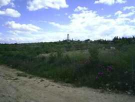 Parcela en Calasparra