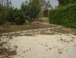 Campo en Molina de Segura