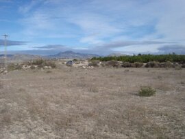 Campo en Molina de Segura