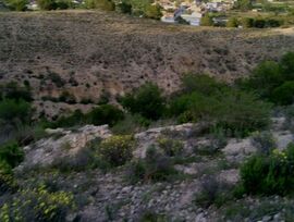 Parcela urbana en Alguazas