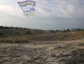 Campo en Arcos de la Frontera