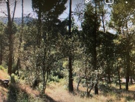 Parcela urbana edificable en Castellvi de Rosanes