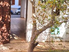 Planta baja en Palma de Mallorca