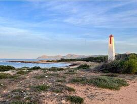 Parcela urbana edificable en Santa Margalida
