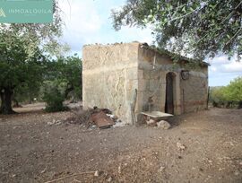 Casa de campo en Selva