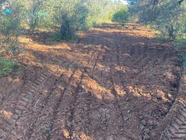Campo en Bormujos