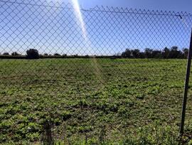 Campo en Almensilla