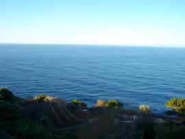 Campo en Banyalbufar