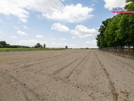 Parcela en Pinos Puente