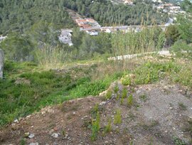 Parcela urbana edificable en Cunit