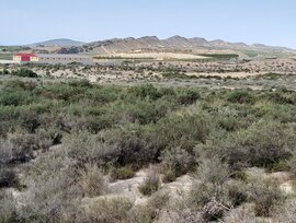 Casa de campo en Murcia