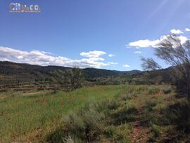 Campo en Nerpio