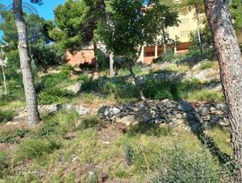 Parcela en Benicassim